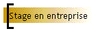 Stage en entreprise